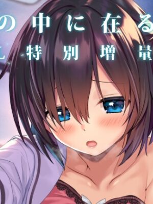 妹の中に在る妹-増量版-【RETRO】