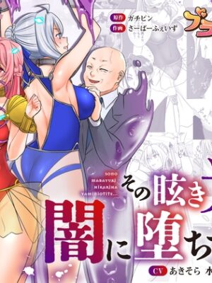 救聖天使ブライトハート  その眩き光は闇に堕ちて…2【G’sfactory】