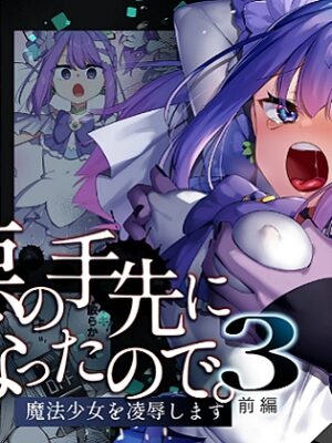 悪の手先になったので。～魔法少女を凌○します～3前編【うーらる】